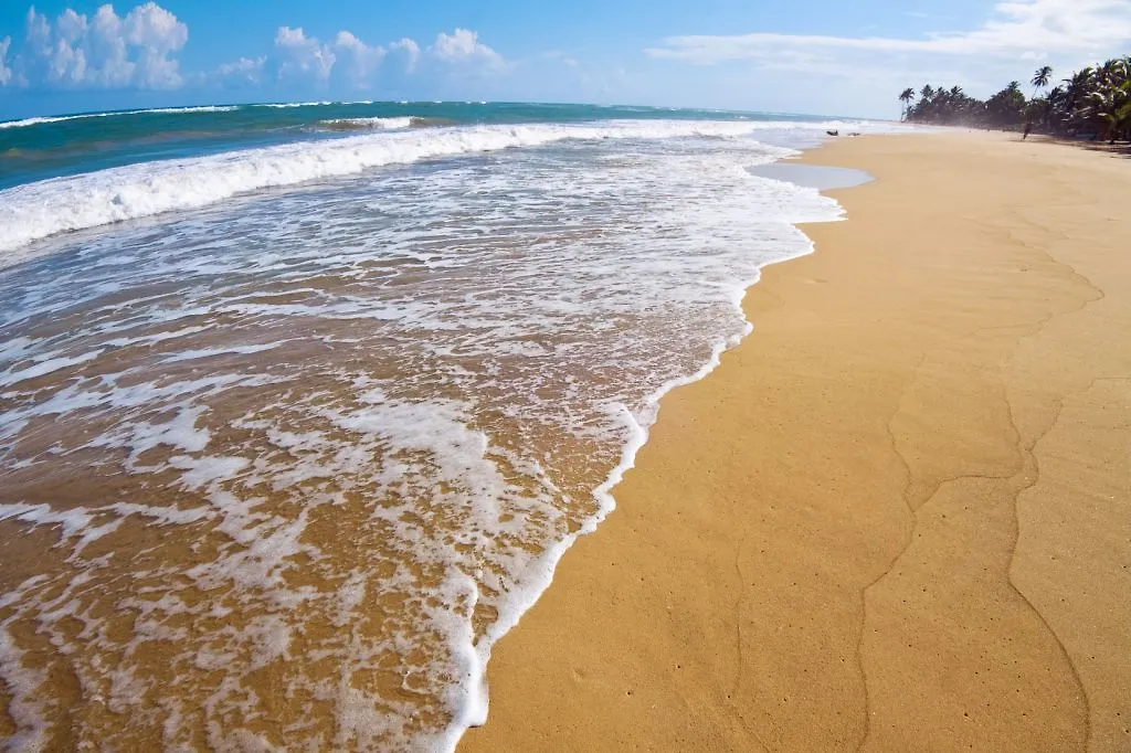 Le Sivory By Portblue Boutique (Adults Only) Hotel La Vacama